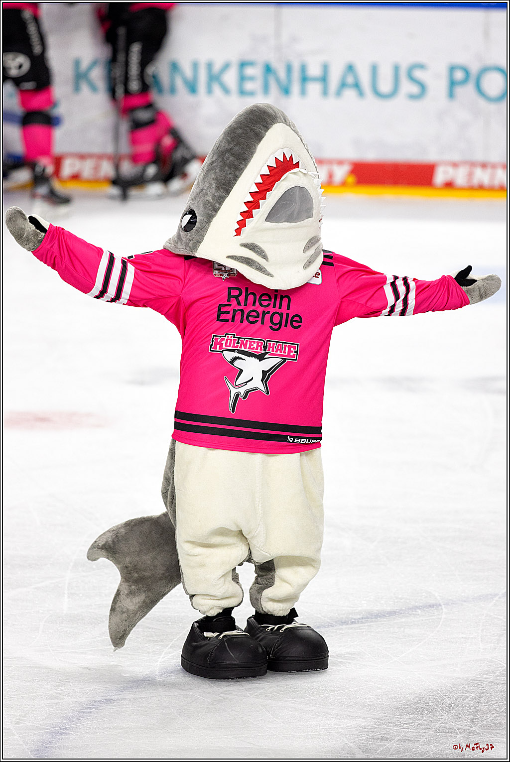 PENNY DEL;  Kölner Haie - Eisbären Berlin; Köln, 16.10.2022